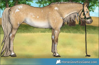 Horse Color:White Spotted Chocolate Palomino Dun Mushroom 