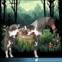 Horse Color:White Spotted Liver Chestnut Mushroom 