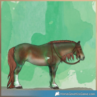 Horse Color:Liver Chestnut Tobiano 