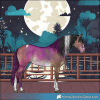 Horse Color:Liver Red Dun Tobiano 