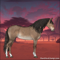 Horse Color:Liver Red Dun Tobiano 