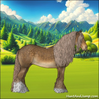 Horse Color:Chocolate Palomino Tobiano 