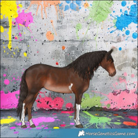 Horse Color:Liver Chestnut Tobiano 
