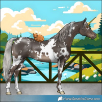 Horse Color:White Spotted Silver Black 