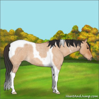 Horse Color:Bay Roan Dun Tobiano