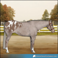 Horse Color:Liver Red Dun Mushroom Varnish Brindle 