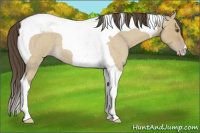 Horse Color:Classic Cream Champagne Roan Dun Tobiano 