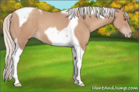 Horse Color:Silver Classic Champagne Tobiano