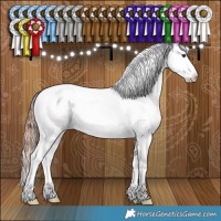 Horse Color:Liver Red Dun Appaloosa Brindle