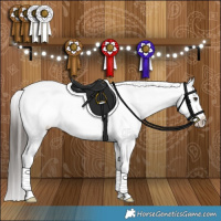 Horse Color:Liver Red Dun Appaloosa Brindle