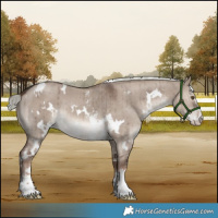 Horse Color:White Spotted Liver Red Dun Mushroom Sabino Brindle 