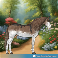 Horse Color:White Spotted Liver Red Dun 