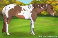 Horse Color:Chestnut Tobiano 