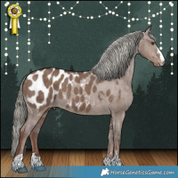 Horse Color:Liver Red Dun Mushroom Appaloosa Brindle 