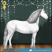 Horse Color:Liver Red Dun Mushroom Appaloosa Brindle