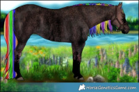 Horse Color:Void Painted Plaid Chocolate Palomino Roan Dun Sabino