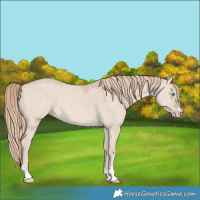 Horse Color:Smoky Creme Dun 