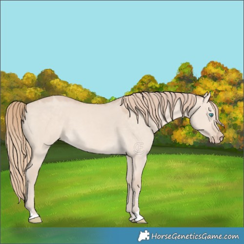 Horse Color:Perlino Dun 