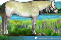 Horse Color:Plaid  White Spotted Liver Red Dun Onyx 