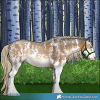 Horse Color:Chocolate Palomino Mushroom Sabino Rabicano 