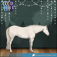 Horse Color:Smoky Creme Dun 