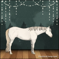 Horse Color:Perlino Dun 