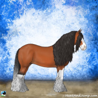 Horse Color:Bay Splash 