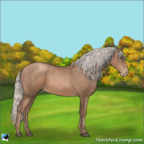 Horse Color:Silver Black Pearl 