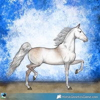 Horse Color:Gray Silver Blue Onyx Pearl Tobiano 