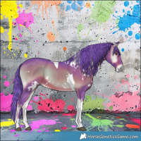 Horse Color:Watercolor White Spotted Liver Red Onyx Tobiano Rabicano