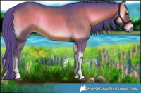 Horse Color:Watercolor Liver Red Onyx Sabino Rabicano 