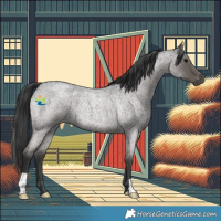 Horse Color:Blue Roan 