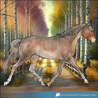 Horse Color:Chocolate Palomino Roan 