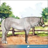 Horse Color:Liver Red Dun Roan Mushroom 