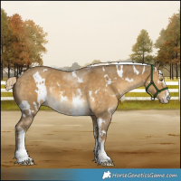 Horse Color:White Spotted Chocolate Palomino Dun Mushroom Sabino 