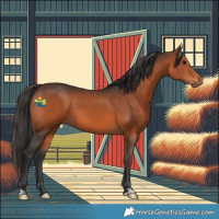 Horse Color:Brown 