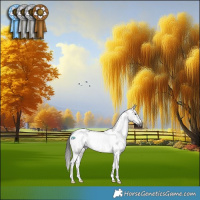 Horse Color:Gray Platinum Bay Dun Tobiano Near Leopard 