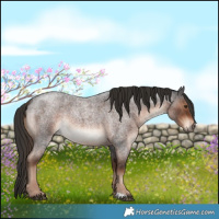 Horse Color:Liver Red Roan 