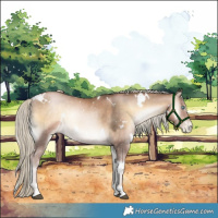 Horse Color:White Spotted Chocolate Palomino Pearl Onyx Rabicano 