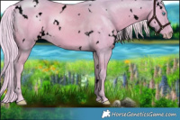 Horse Color:Void Watercolor White Spotted Cremello Rabicano 