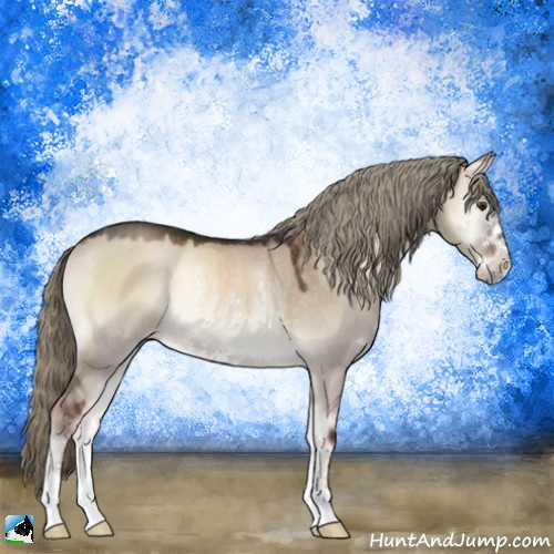 Horse Color:Liver Red Dun Onyx Mushroom Sabino Rabicano 