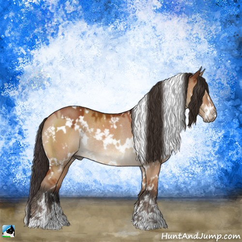 Horse Color:White Spotted Brown Dun Sabino Rabicano 