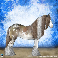 Horse Color:White Spotted Liver Red Dun Sabino Splash Rabicano Brindle 