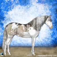 Horse Color:White Spotted Liver Red Dun Mushroom Splash Rabicano Brindle