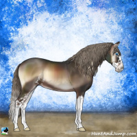 Horse Color:Liver Red Onyx Mushroom Sabino Splash 