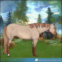 Horse Color:Red Dun 