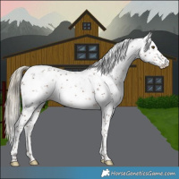 Horse Color:Liver Chestnut Mushroom Sabino 