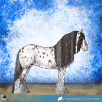 Horse Color:Bay Ice Tobiano Appaloosa