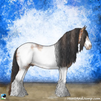 Horse Color:Plaid  Bay Tobiano Frame Rabicano 