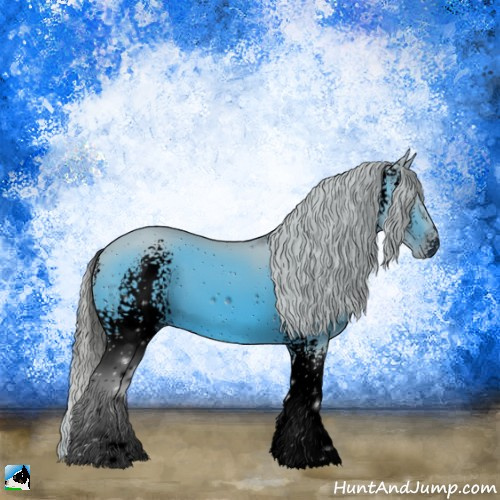 Horse Color:ERROR: UNKNOWN ANOMALY